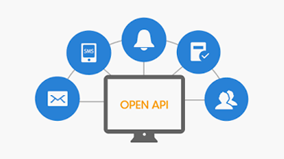 오픈 API